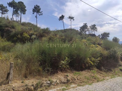 /international/pt/rua-nova-da-travanca-valadares-setubal-municipality-310097798954/