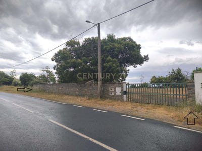 /international/pt/grijo-de-parada-braganca-310100826766/