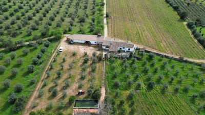 /international/pt/fg4f-v5-corval-portugal-corval-evora-310106164642/