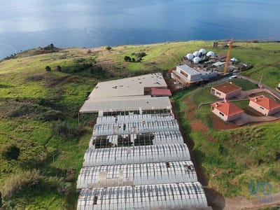 /international/pt/ilha-da-madeira-madeira-120082402316/