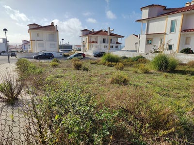 /international/pt/santo-isidoro-lisbon-310095267591/