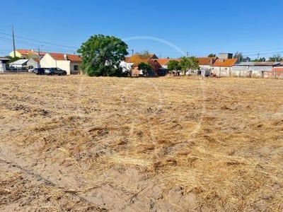 /international/pt/montijo-setubal-municipality-310102537017/
