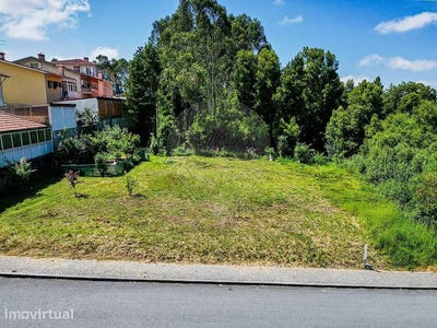 /international/pt/sao-joao-de-ver-aveiro-310108081997/