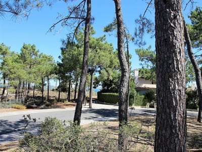 /international/pt/grandola-setubal-municipality-120063816920/