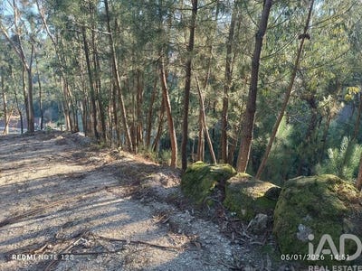 /international/pt/porto-braga-310105207516/