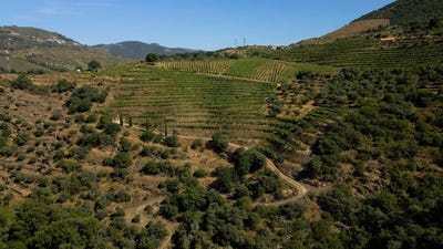 /international/pt/santa-leocadia-viseu-310108974459/?lang=th