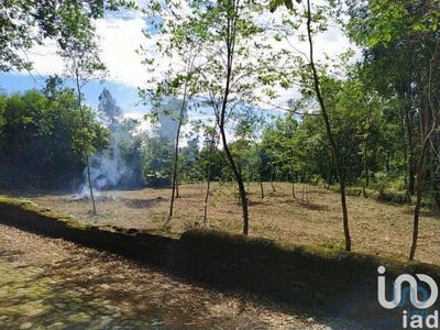 /international/pt/seixas-viana-do-castelo-310100741523/