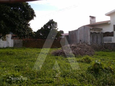 /international/pt/bustos-aveiro-310100272716/