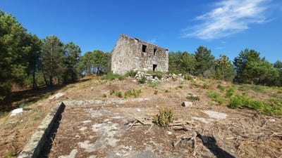 /international/pt/abrunhosa-a-velha-viseu-120096010687/?lang=zh-cn