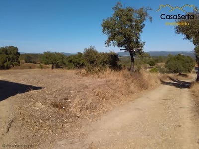 /international/pt/proenca-a-nova-e-peral-proenca-a-nova-castelo-branco-310101323155/?lang=zh-tw
