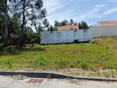 /international/pt/mamodeiro-3810-nossa-senhora-de-fatima-portugal-requeixo-braga-310108619280/