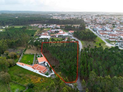 /international/pt/marinha-grande-leiria-310104212439/