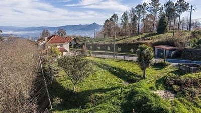 /international/pt/celorico-de-basto-braga-310107707590/