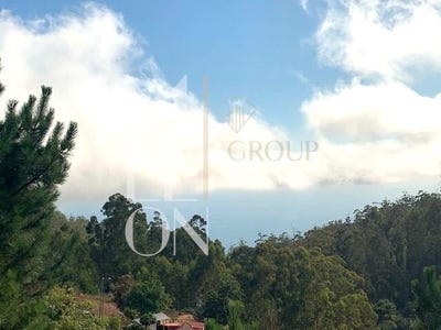 /international/pt/funchal-madeira-310107901905/