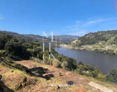 /international/pt/oliveira-do-douro-porto-310105743372/