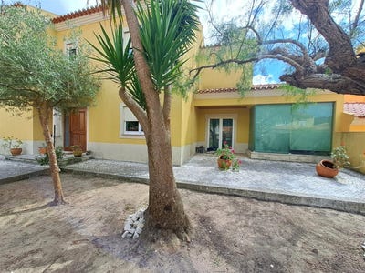 /international/pt/rolica-leiria-310108278417/