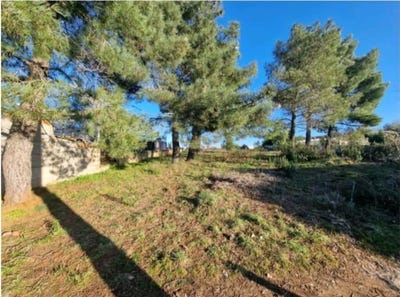/international/pt/braganca-braganca-310107670839/