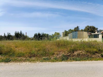 /international/pt/r-principal-da-murta-105-3770-102-oliveira-do-bairro-portugal-oliveira-do-bairro-aveiro-310107756941/