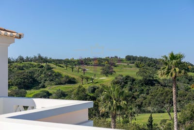 /international/pt/budens-faro-310107047064/