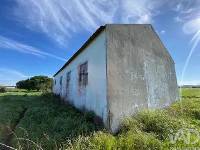 /international/pt/setubal-setubal-municipality-310104287033/