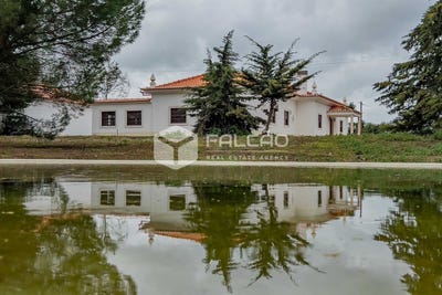 /international/pt/santarem-santarem-310098265662/