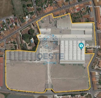 /international/pt/golega-santarem-310101015422/