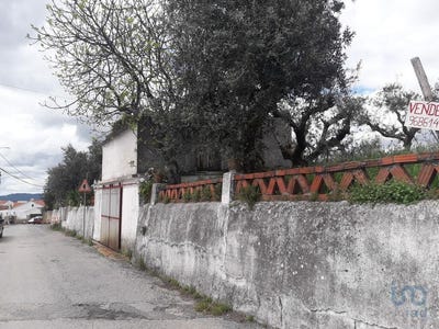 /international/pt/santarem-santarem-310098808513/