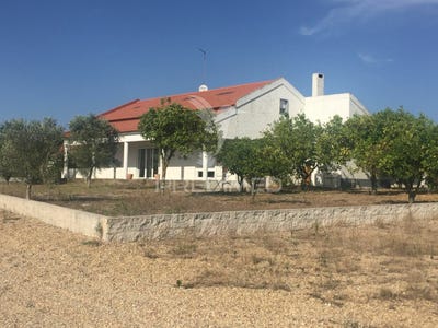 /international/pt/samora-correia-benavente-santarem-120051392602/?lang=zh-tw
