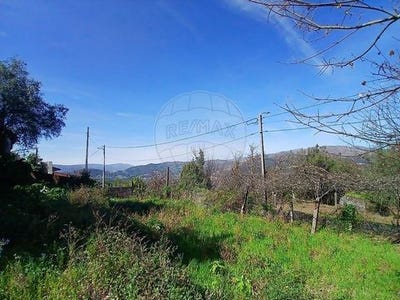 /international/pt/ponte-da-barca-viana-do-castelo-310107707939/