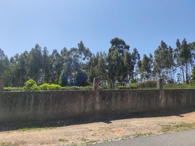 /international/pt/serzedo-e-calvos-porto-310108130713/