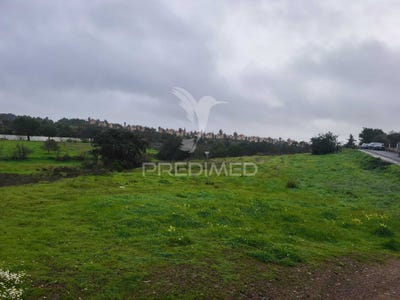 /international/pt/vila-nova-de-cacela-vila-real-de-santo-antonio-faro-310105378111/