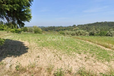 /international/pt/soure-coimbra-120085328626/?lang=zh-tw