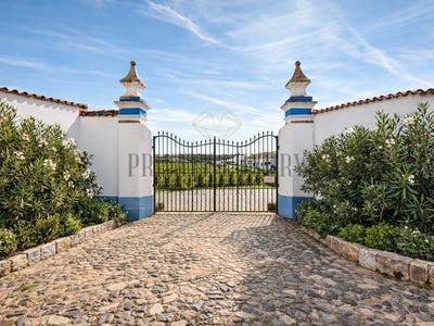 /international/pt/vidigueira-beja-120096208988/