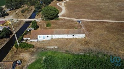 /international/pt/coruche-santarem-120092695312/