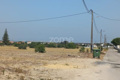 /international/pt/montijo-setubal-municipality-310095981115/