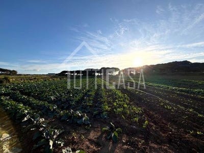 /international/pt/sintra-lisbon-310108459319/