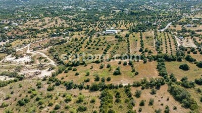 /international/pt/faro-faro-310108374940/