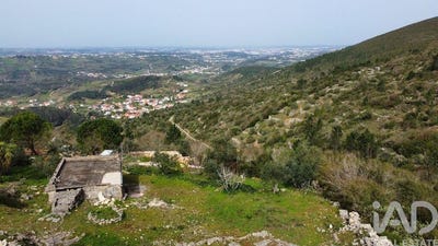/international/pt/leiria-leiria-310106402332/