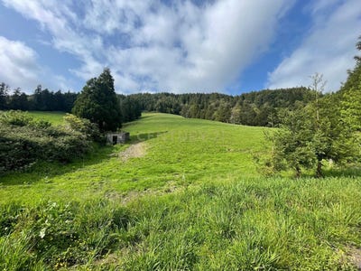 /international/pt/qq8w-73-faial-da-terra-portugal-ilha-de-sao-miguel-azores-310107520338/