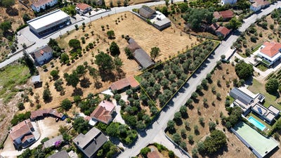 /international/pt/r-mondego-n13-3520-063-nelas-portugal-nelas-viseu-310102847144/
