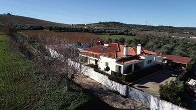 /international/pt/borba-matriz-evora-310101354534/?lang=zh-tw