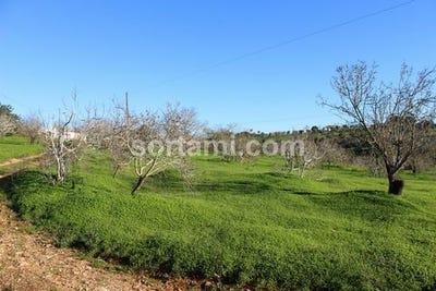 /international/pt/lagoa-algarve-faro-120090402187/