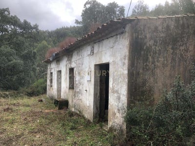 /international/pt/monchique-portugal-monchique-faro-310105718342/