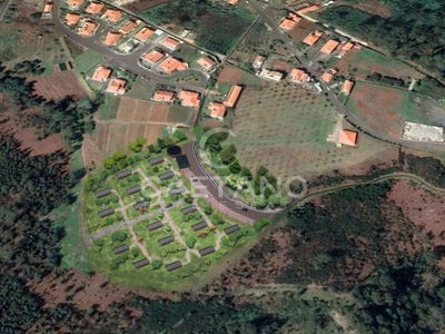 /international/pt/prazeres-madeira-310108403930/
