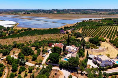 /international/pt/silves-faro-310109045698/?lang=de