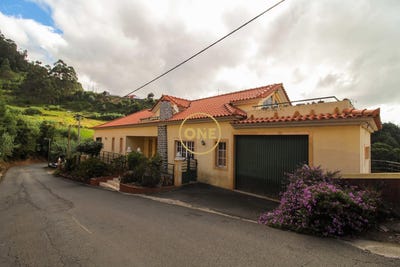 /international/pt/canhas-madeira-310108156545/