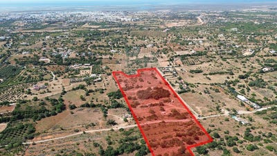 /international/pt/faro-faro-310101159425/?lang=zh-cn