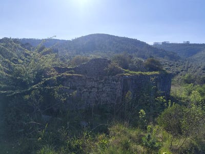 /international/pt/penela-sao-miguel-coimbra-310106838979/