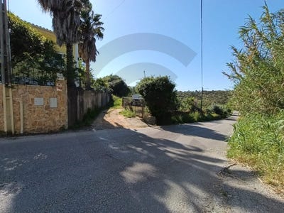 /international/pt/torres-novas-santa-maria-santarem-310107674340/