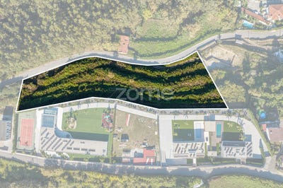 /international/pt/felgueiras-viseu-310102395630/